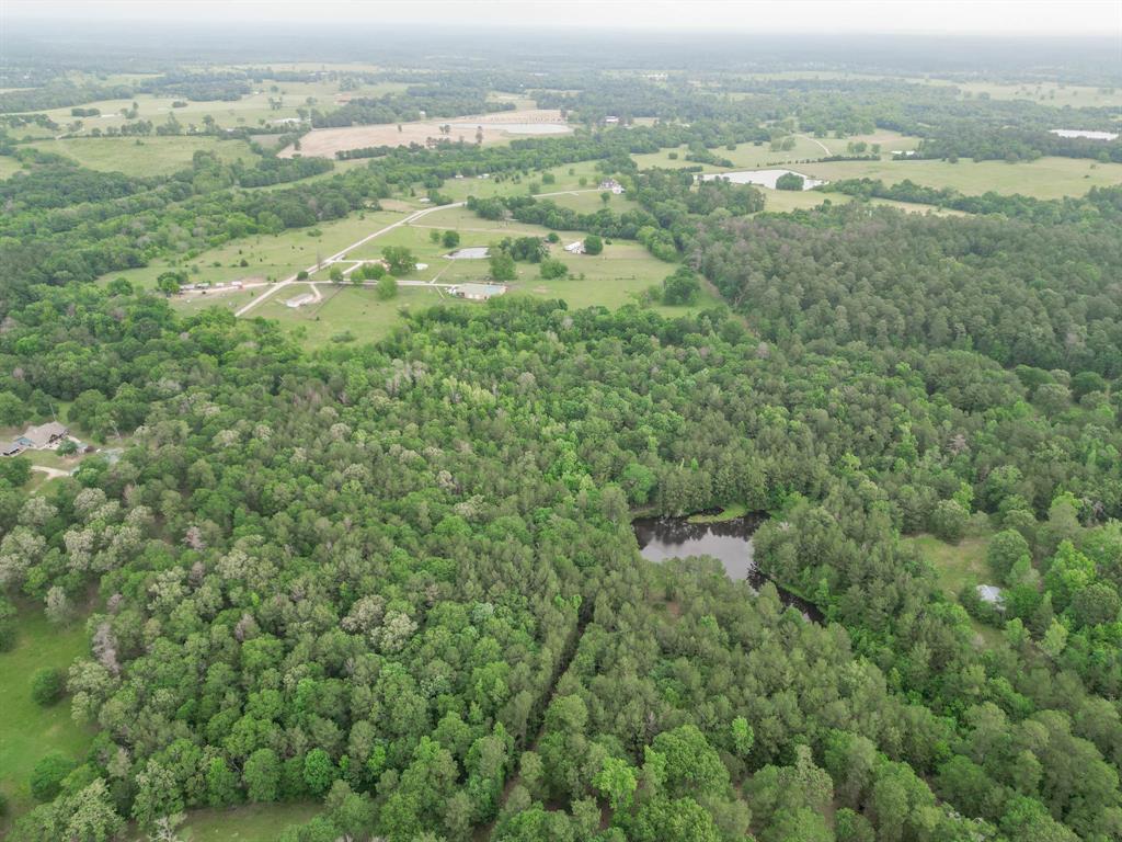 Winters Ranch Road , New Waverly, Texas image 11