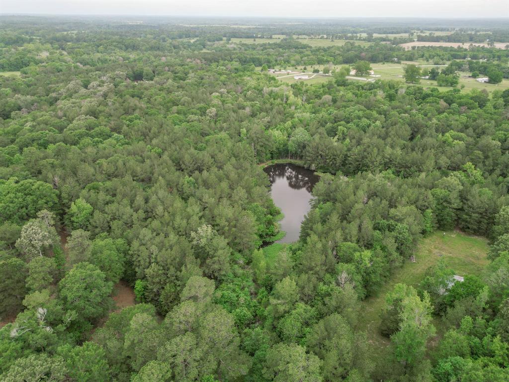 Winters Ranch Road , New Waverly, Texas image 13