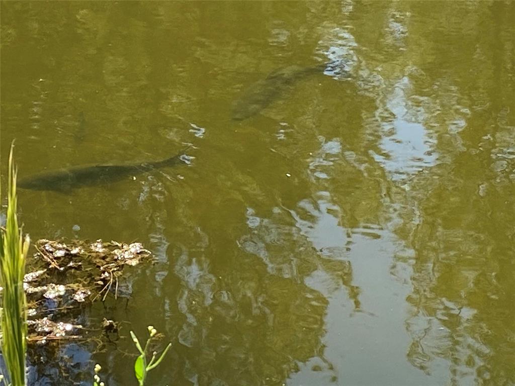 Pond is stocked with bass, crappie, bluegills, and sunfish