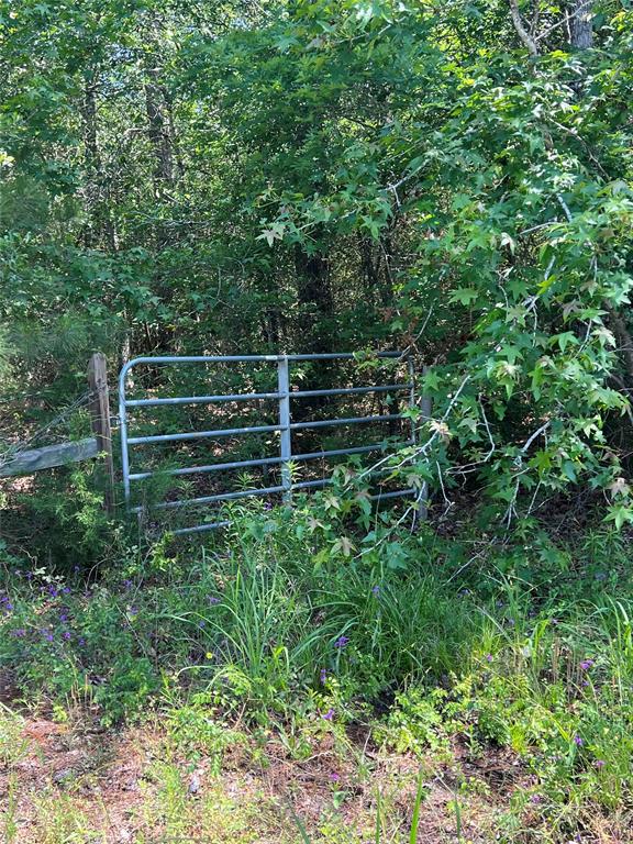 Entrance off of Olson Road