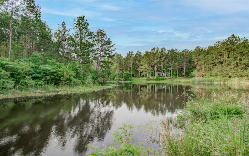 Winters Ranch Road , New Waverly, Texas image 4