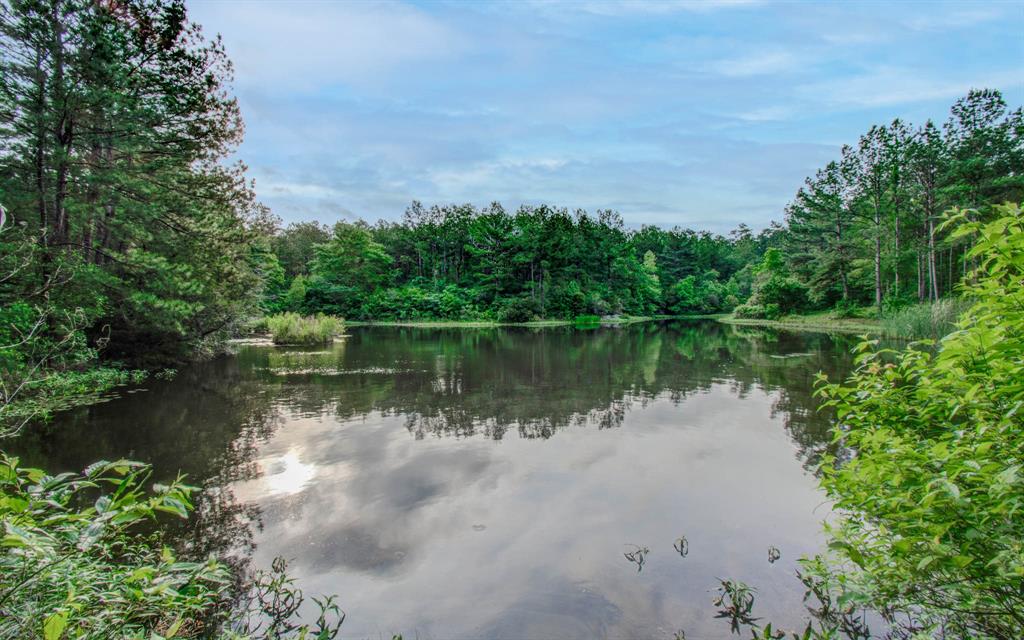 Winters Ranch Road , New Waverly, Texas image 5