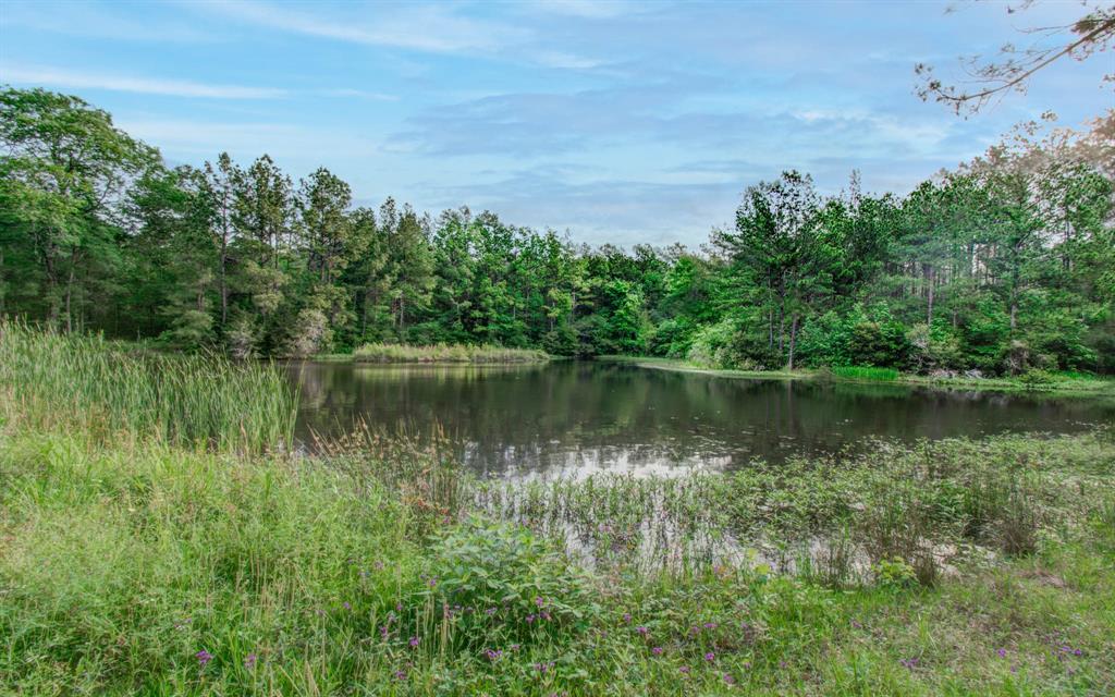 Winters Ranch Road , New Waverly, Texas image 6