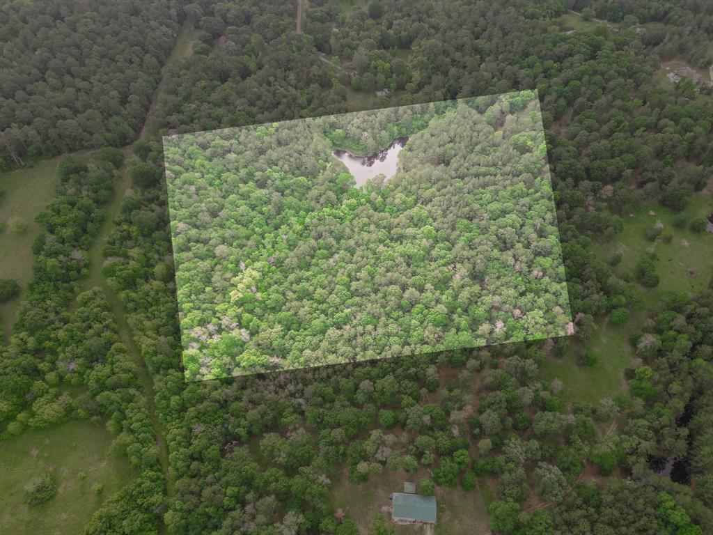 Winters Ranch Road , New Waverly, Texas image 8