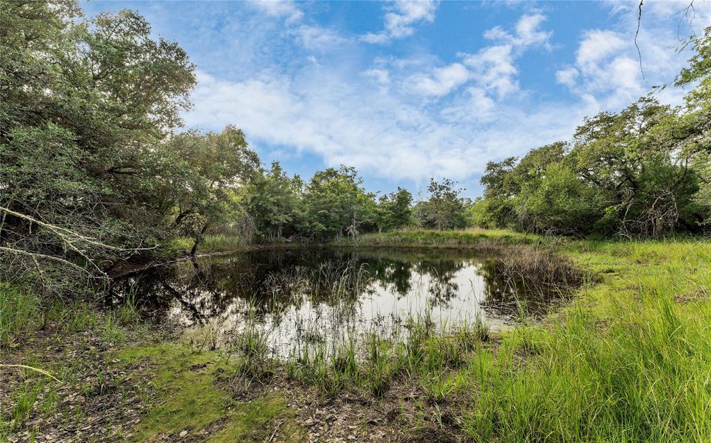 Causey Lane , Cuero, Texas image 11