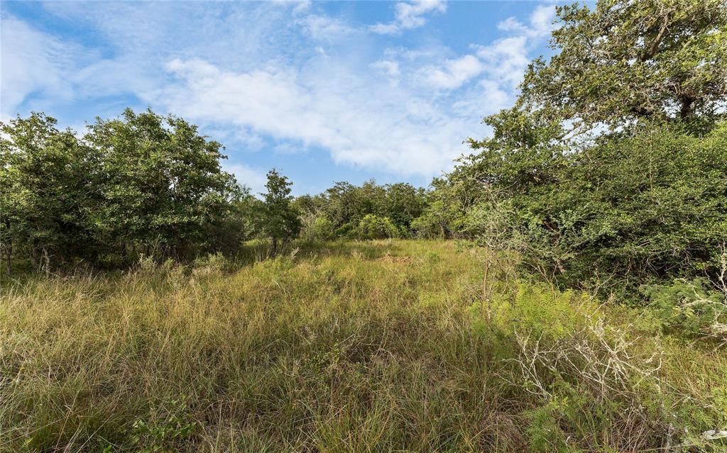 Causey Lane , Cuero, Texas image 12