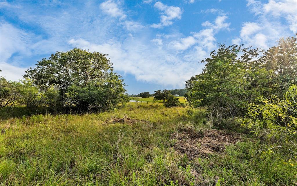 Causey Lane , Cuero, Texas image 13