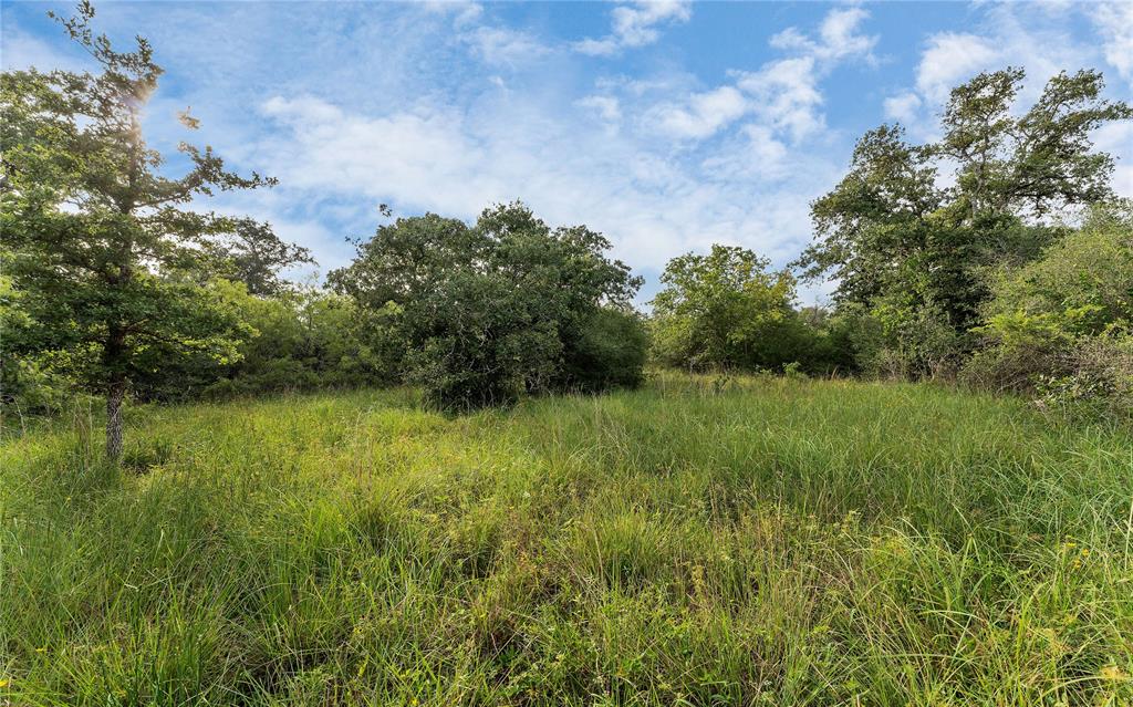 Causey Lane , Cuero, Texas image 14