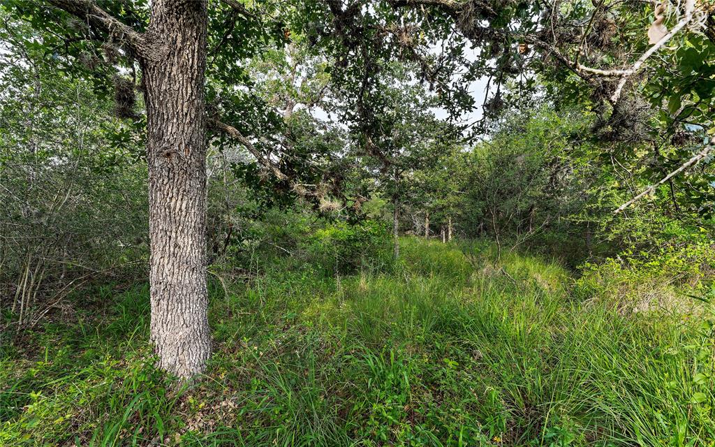 Causey Lane , Cuero, Texas image 15