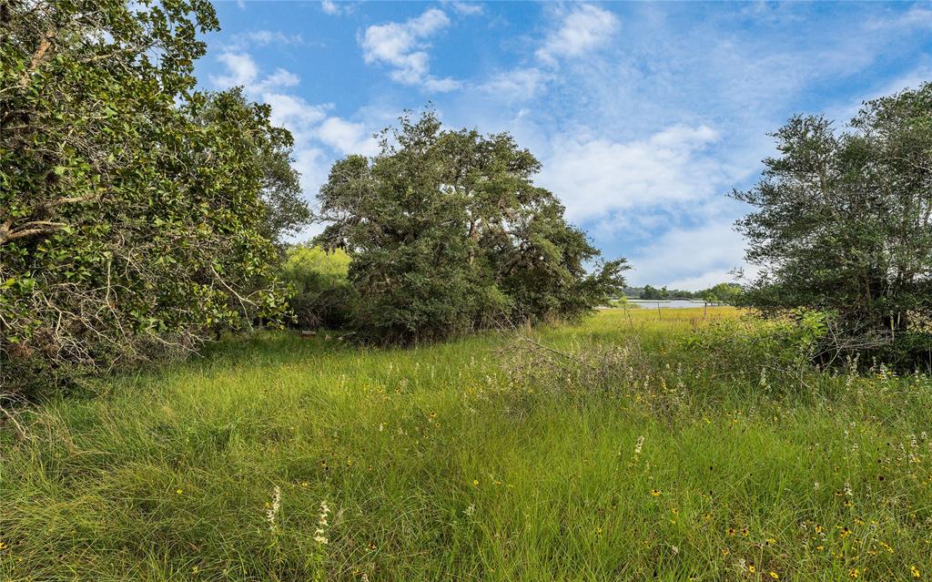 Causey Lane , Cuero, Texas image 16