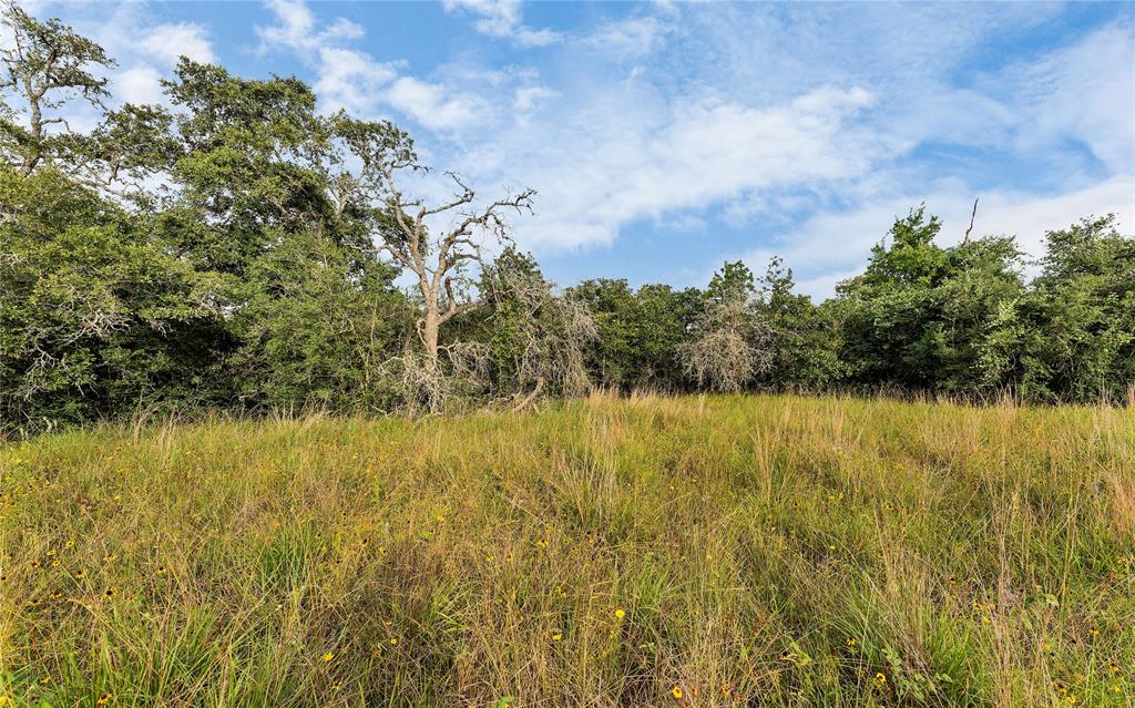 Causey Lane , Cuero, Texas image 17