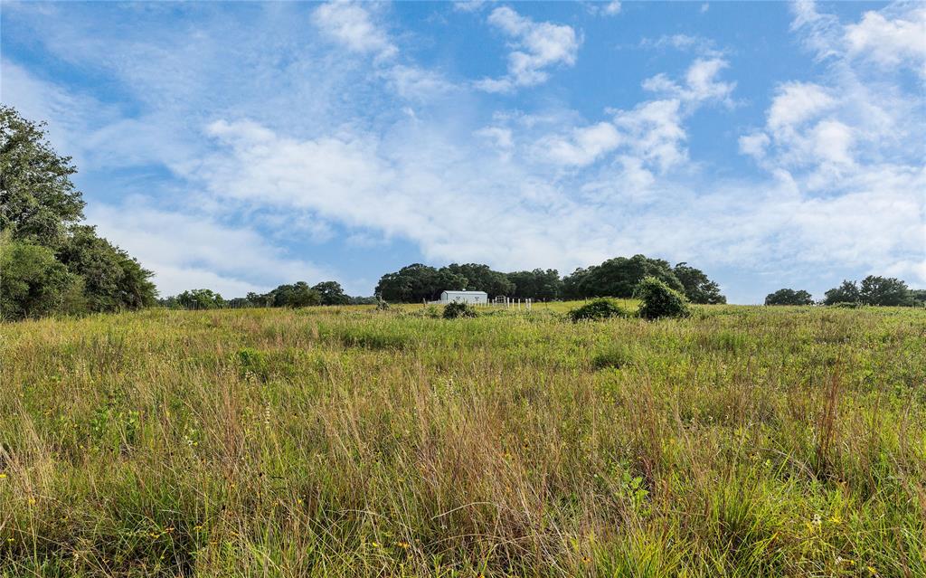 Causey Lane , Cuero, Texas image 18