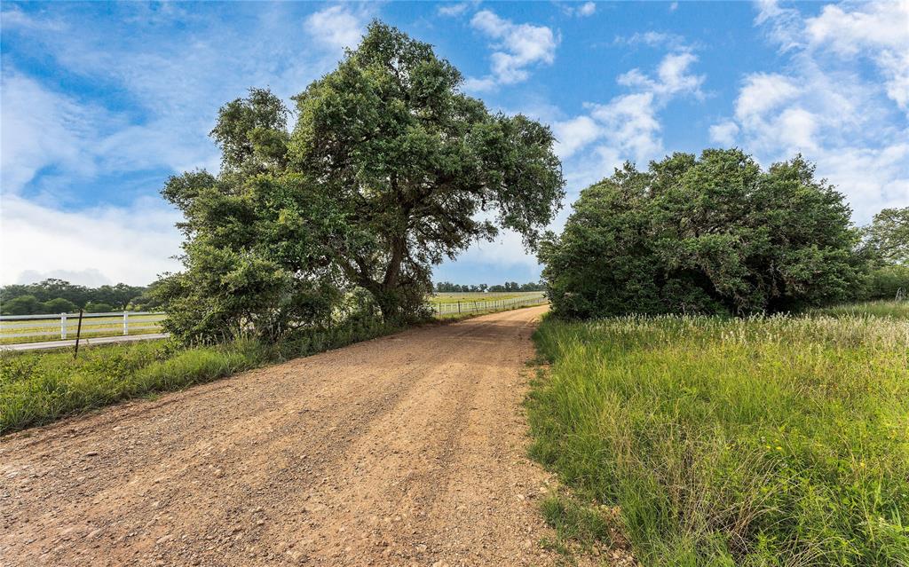 Causey Lane , Cuero, Texas image 21