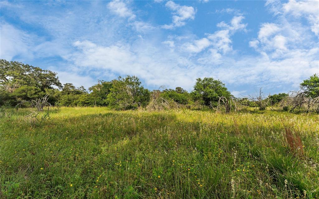 Causey Lane , Cuero, Texas image 22