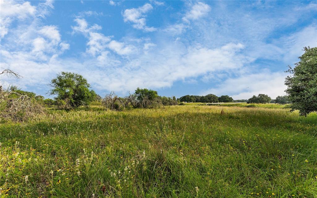 Causey Lane , Cuero, Texas image 23