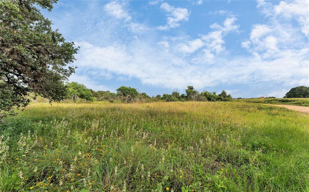 Causey Lane , Cuero, Texas image 24