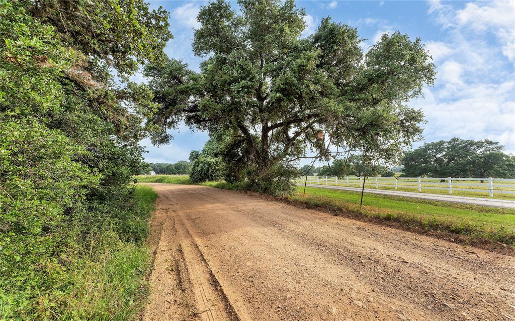 Causey Lane , Cuero, Texas image 26