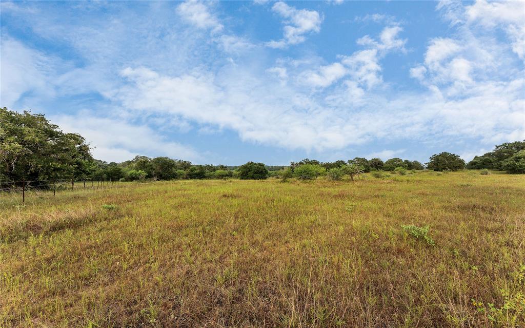 Causey Lane , Cuero, Texas image 29