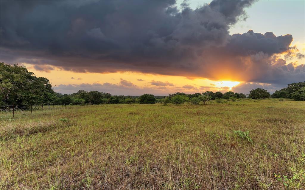 Causey Lane , Cuero, Texas image 4