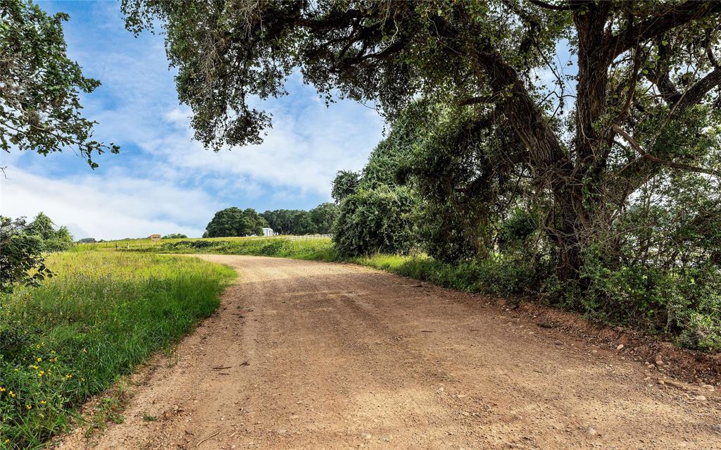 Causey Lane , Cuero, Texas image 32