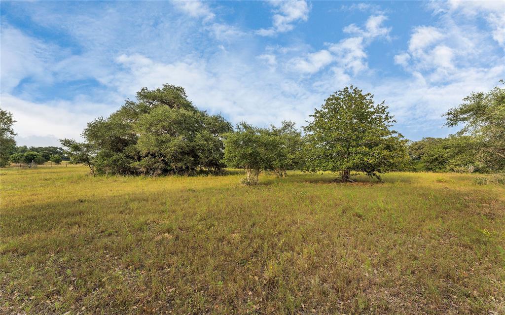 Causey Lane , Cuero, Texas image 33