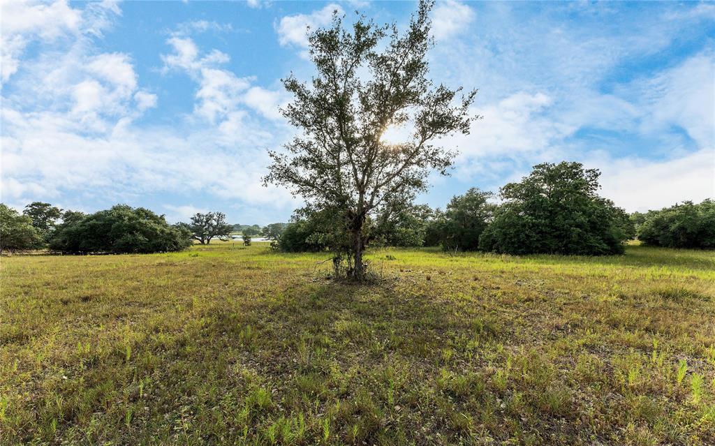 Causey Lane , Cuero, Texas image 37