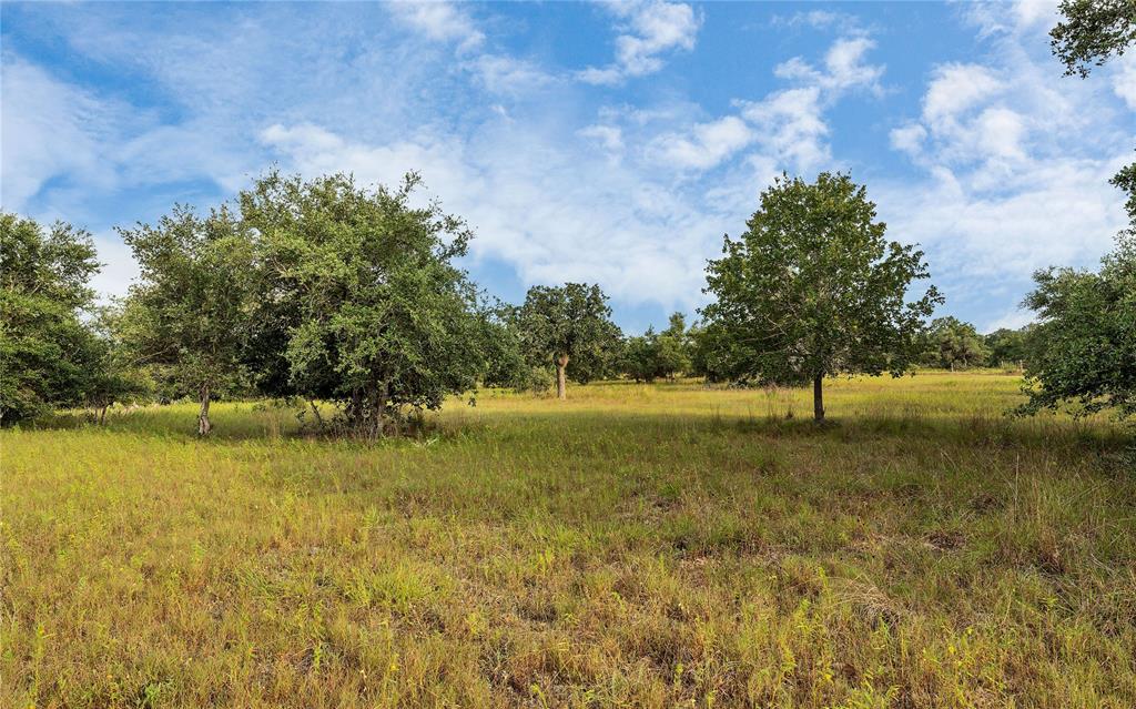 Causey Lane , Cuero, Texas image 38