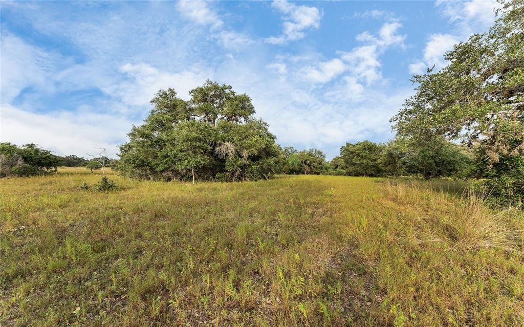 Causey Lane , Cuero, Texas image 40