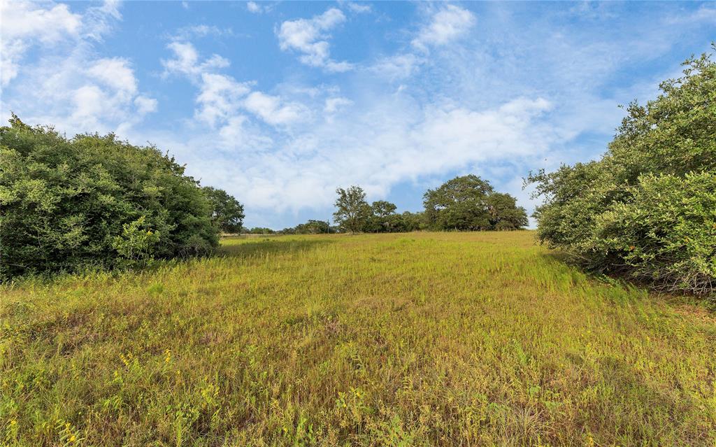 Causey Lane , Cuero, Texas image 41