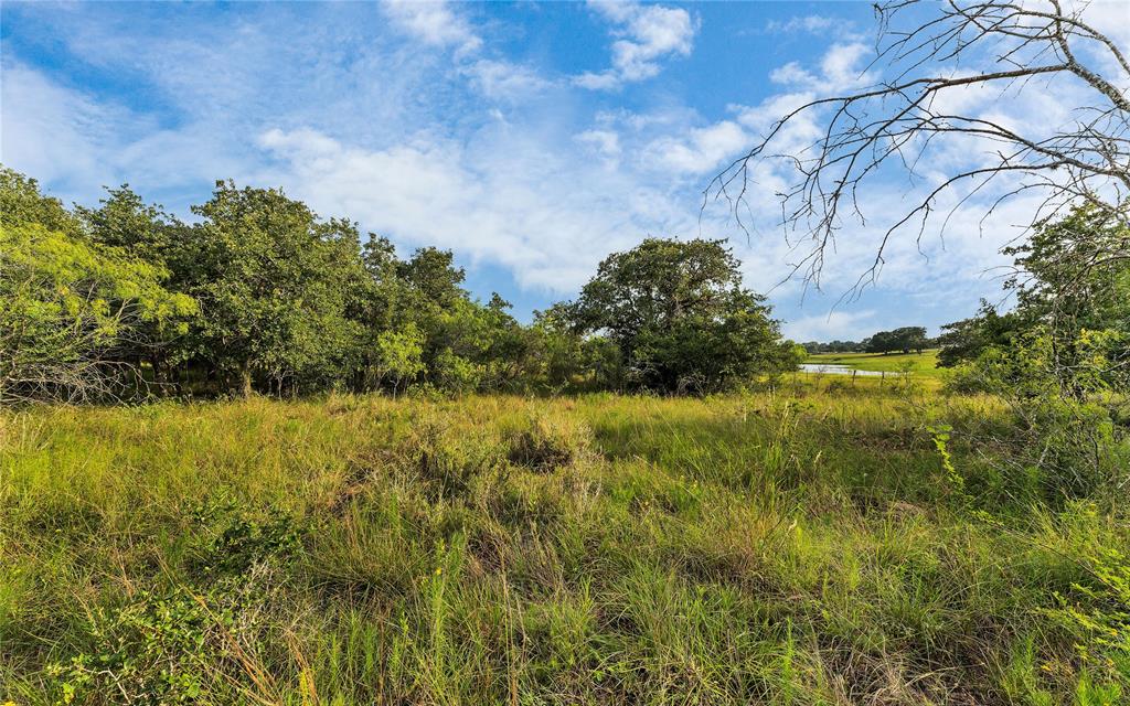 Causey Lane , Cuero, Texas image 43