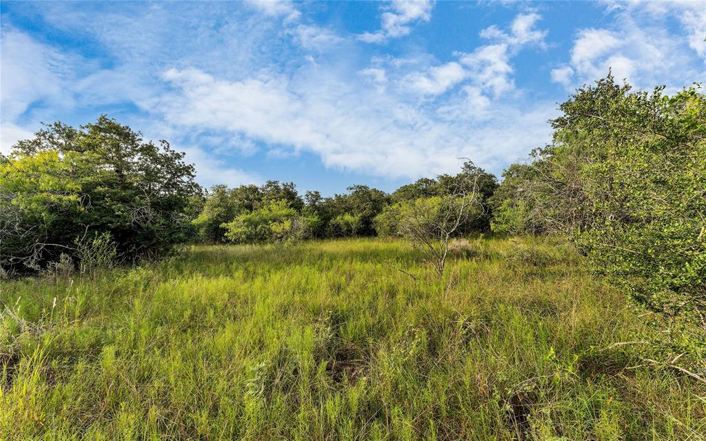 Causey Lane , Cuero, Texas image 44