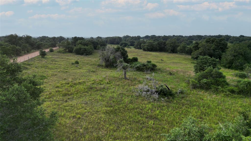 Causey Lane , Cuero, Texas image 45