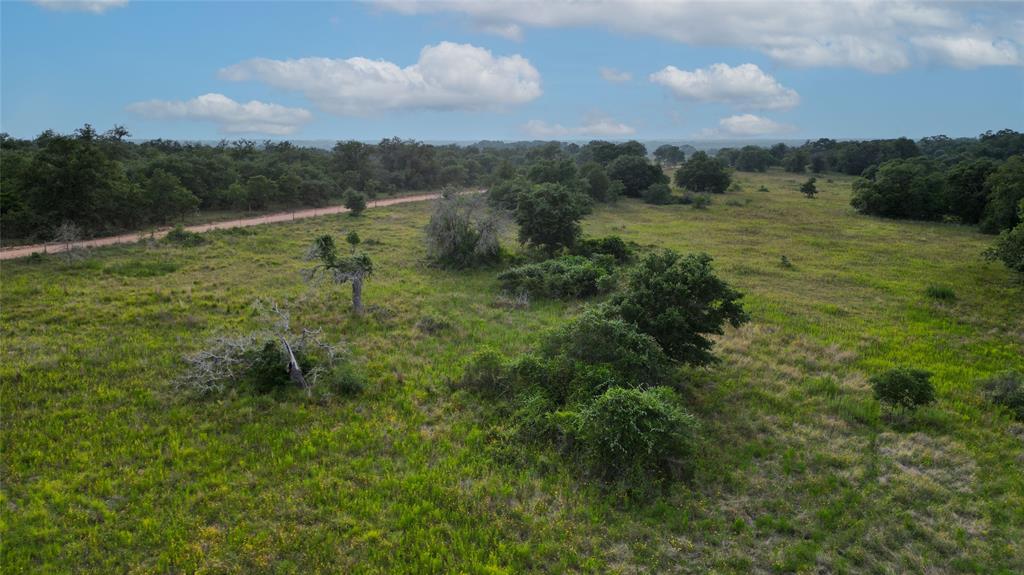 Causey Lane , Cuero, Texas image 46