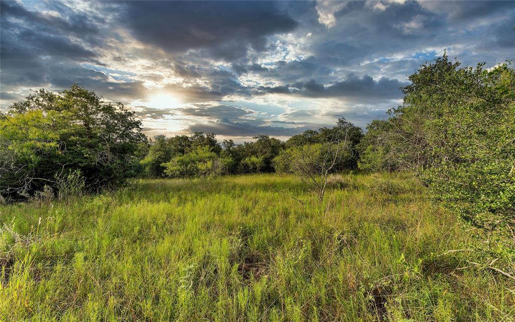 Causey Lane , Cuero, Texas image 6