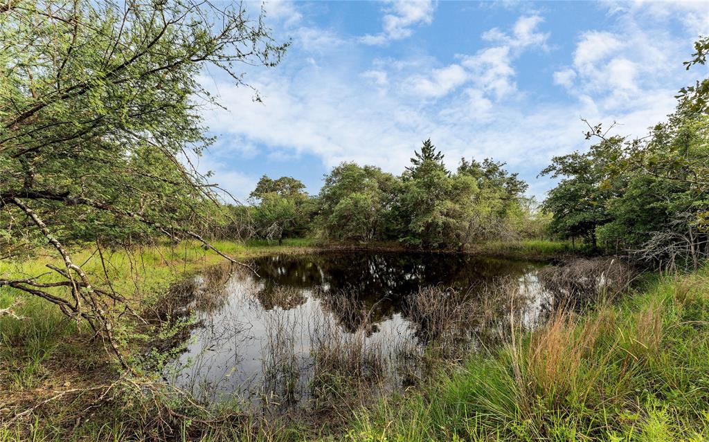 Causey Lane , Cuero, Texas image 7