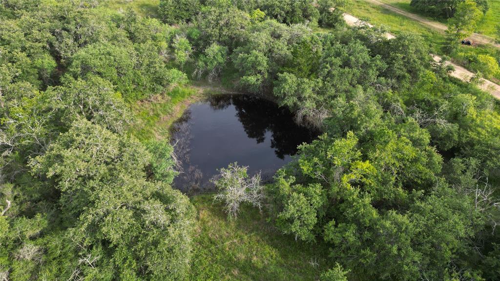 Causey Lane , Cuero, Texas image 8