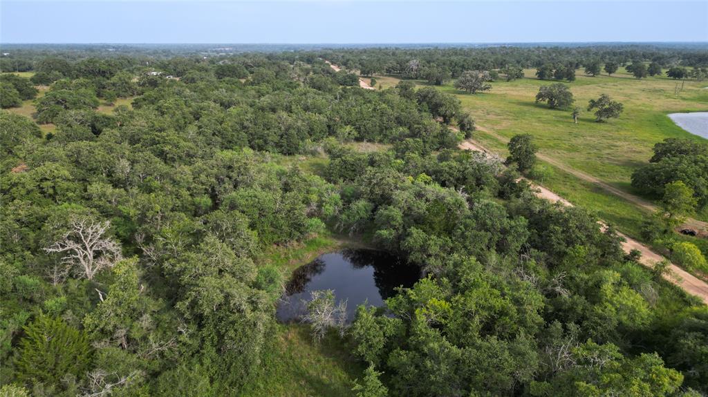 Causey Lane , Cuero, Texas image 9