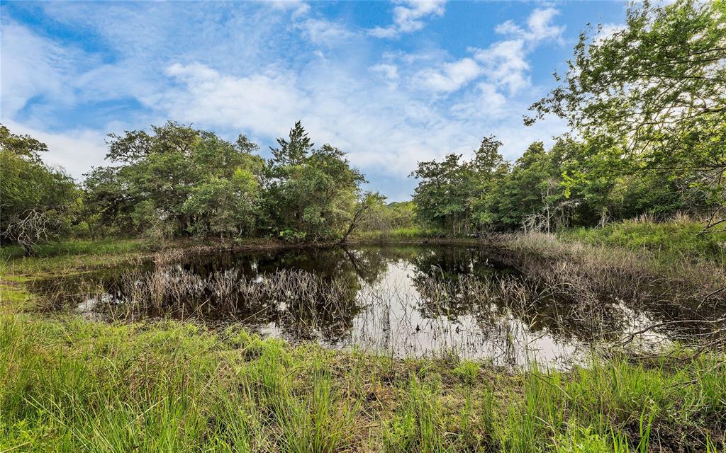 Causey Lane , Cuero, Texas image 10