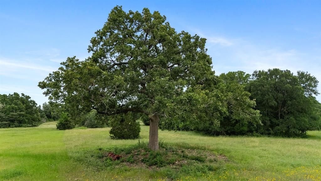 524 Hackemack Road  , Round Top, Texas image 4