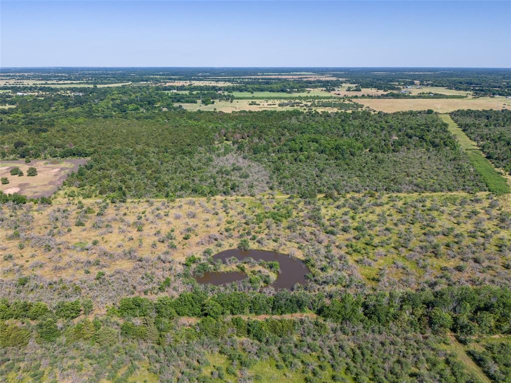 TBD Ives Creek Road , Bellville, Texas image 6