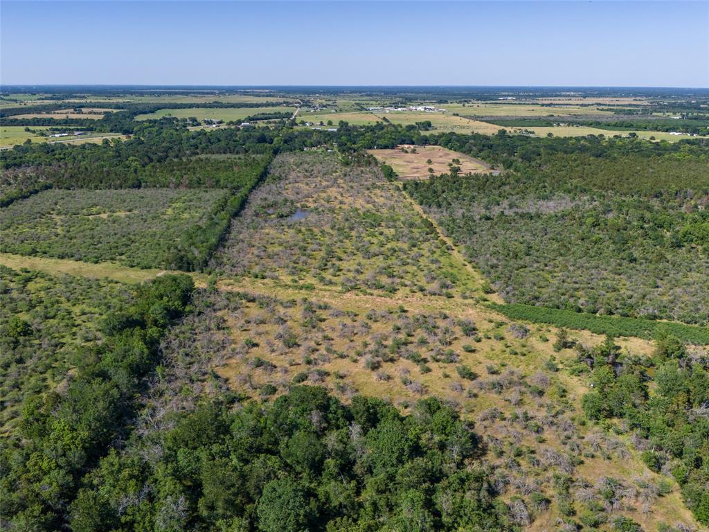 TBD Ives Creek Road , Bellville, Texas image 8