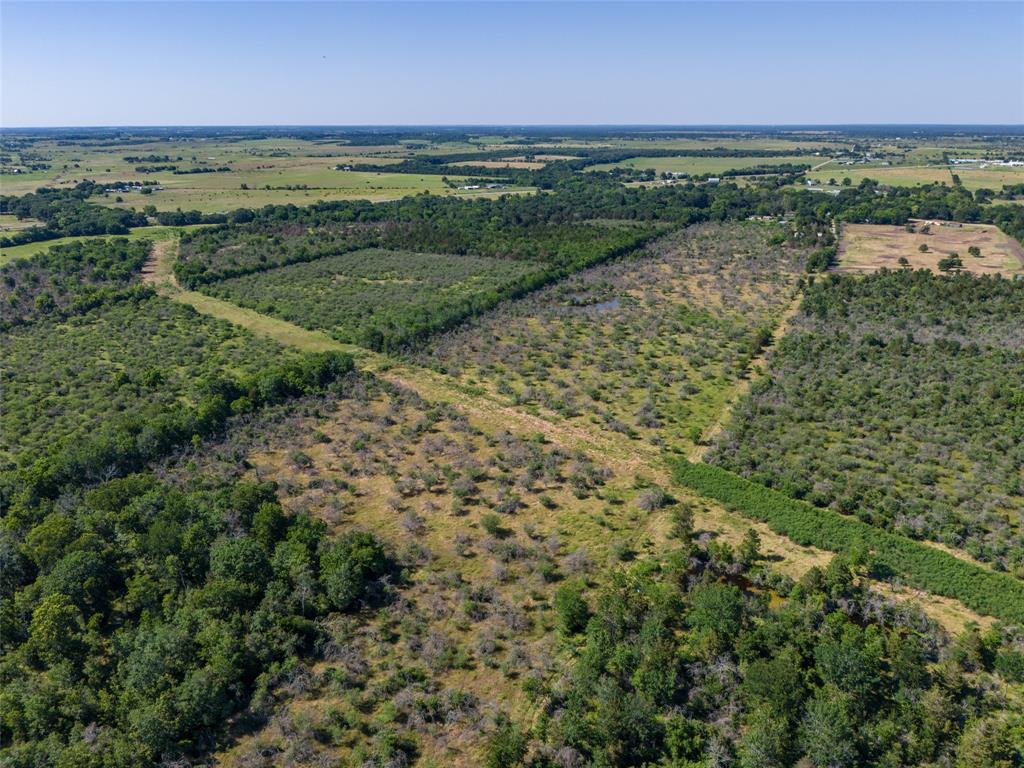 TBD Ives Creek Road , Bellville, Texas image 9