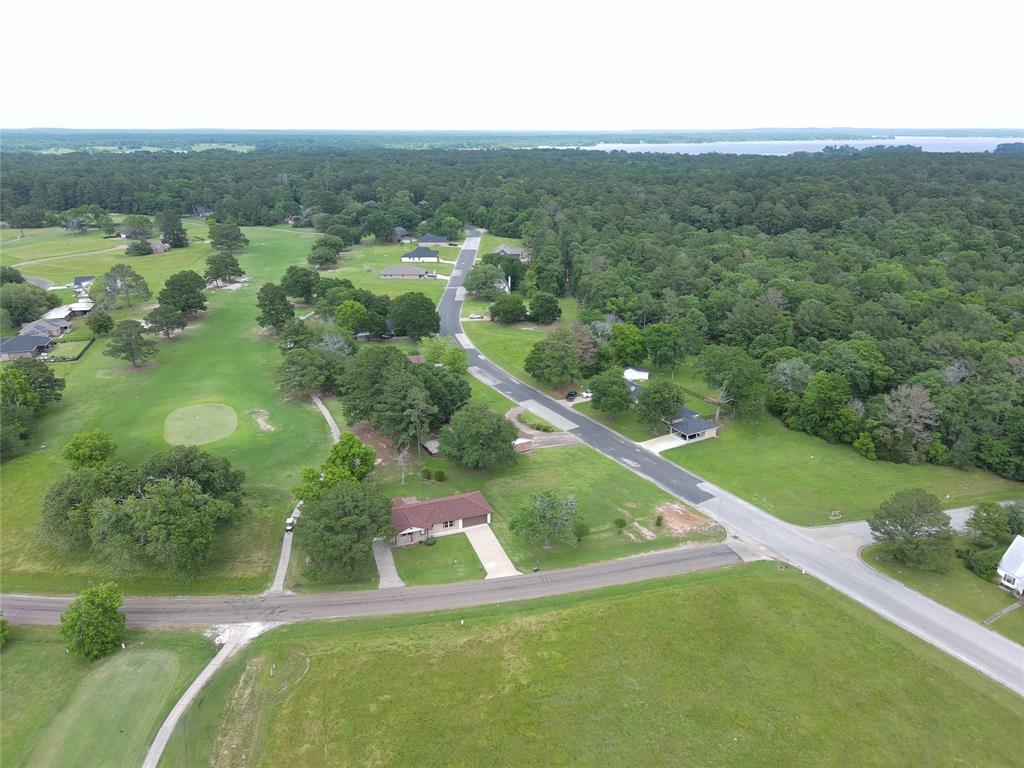 View of Lake Livingston and the marina area just down the road.