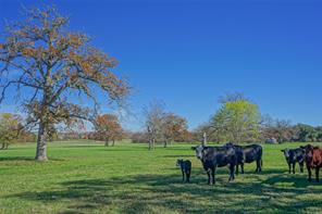 26+/- Acres Dyess Rd, College Station, TX 77845