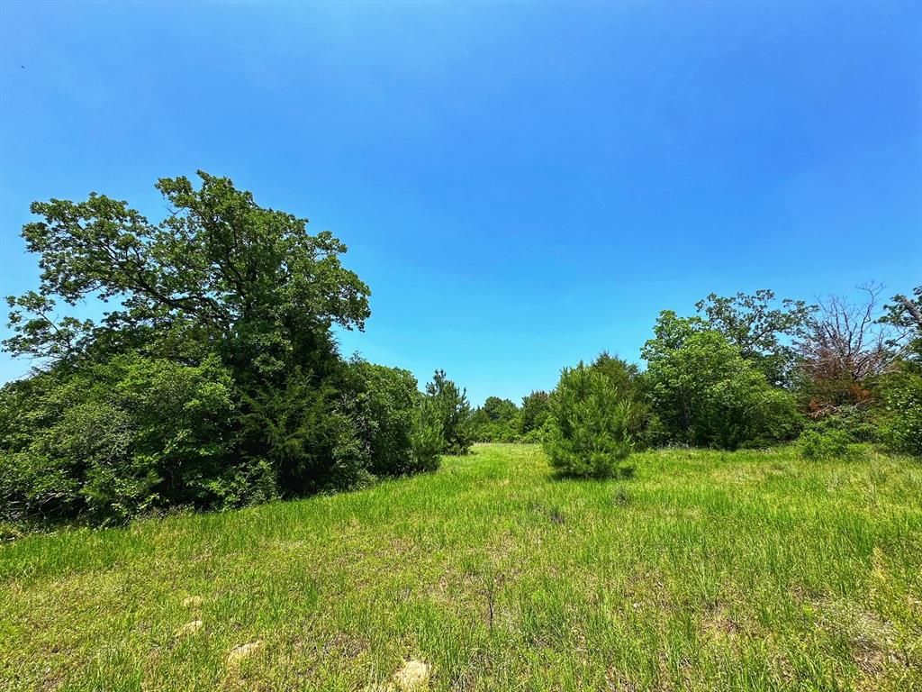 37 Ac Cr 427  , Marquez, Texas image 12