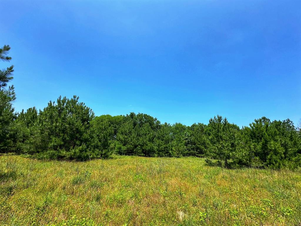 37 Ac Cr 427  , Marquez, Texas image 17