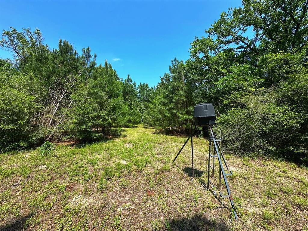 37 Ac Cr 427  , Marquez, Texas image 4