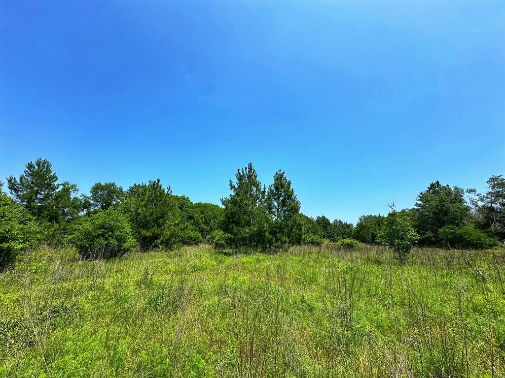 37 Ac Cr 427  , Marquez, Texas image 6