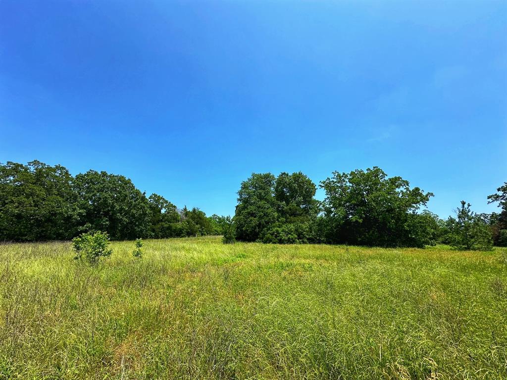 37 Ac Cr 427  , Marquez, Texas image 7