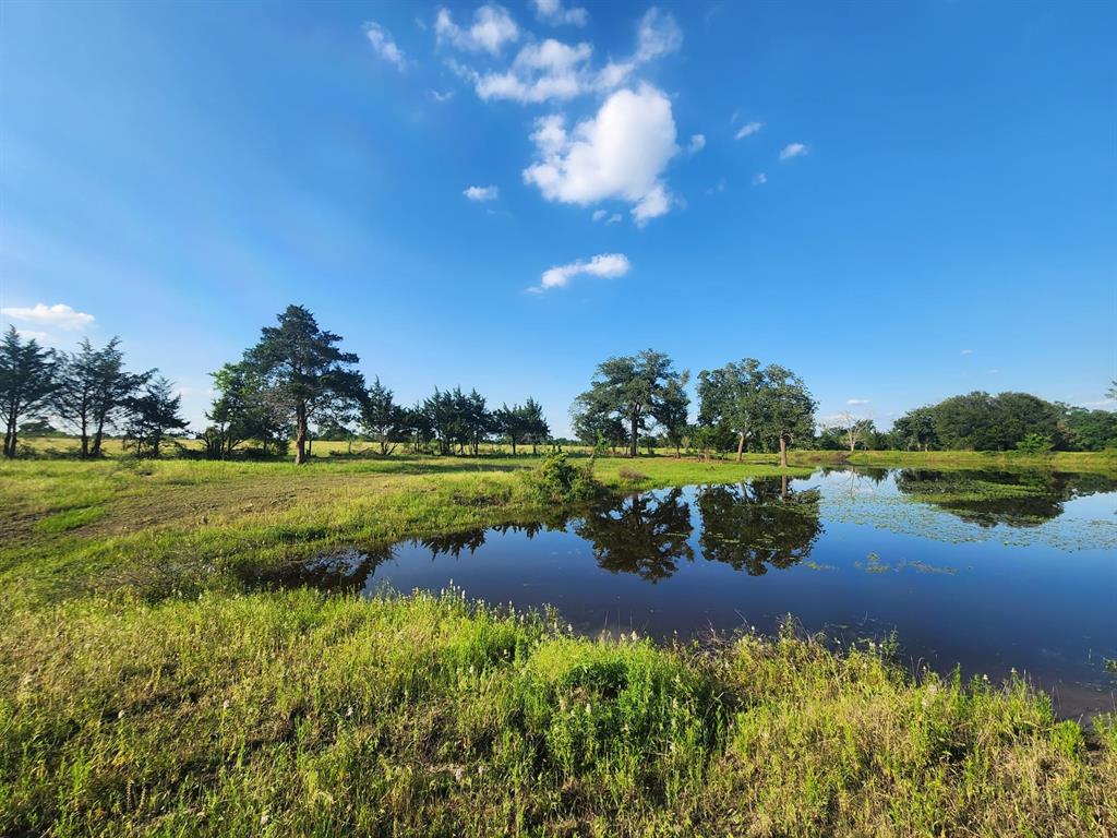 TBD Sweed Lot 8 Road , Washington, Texas image 11